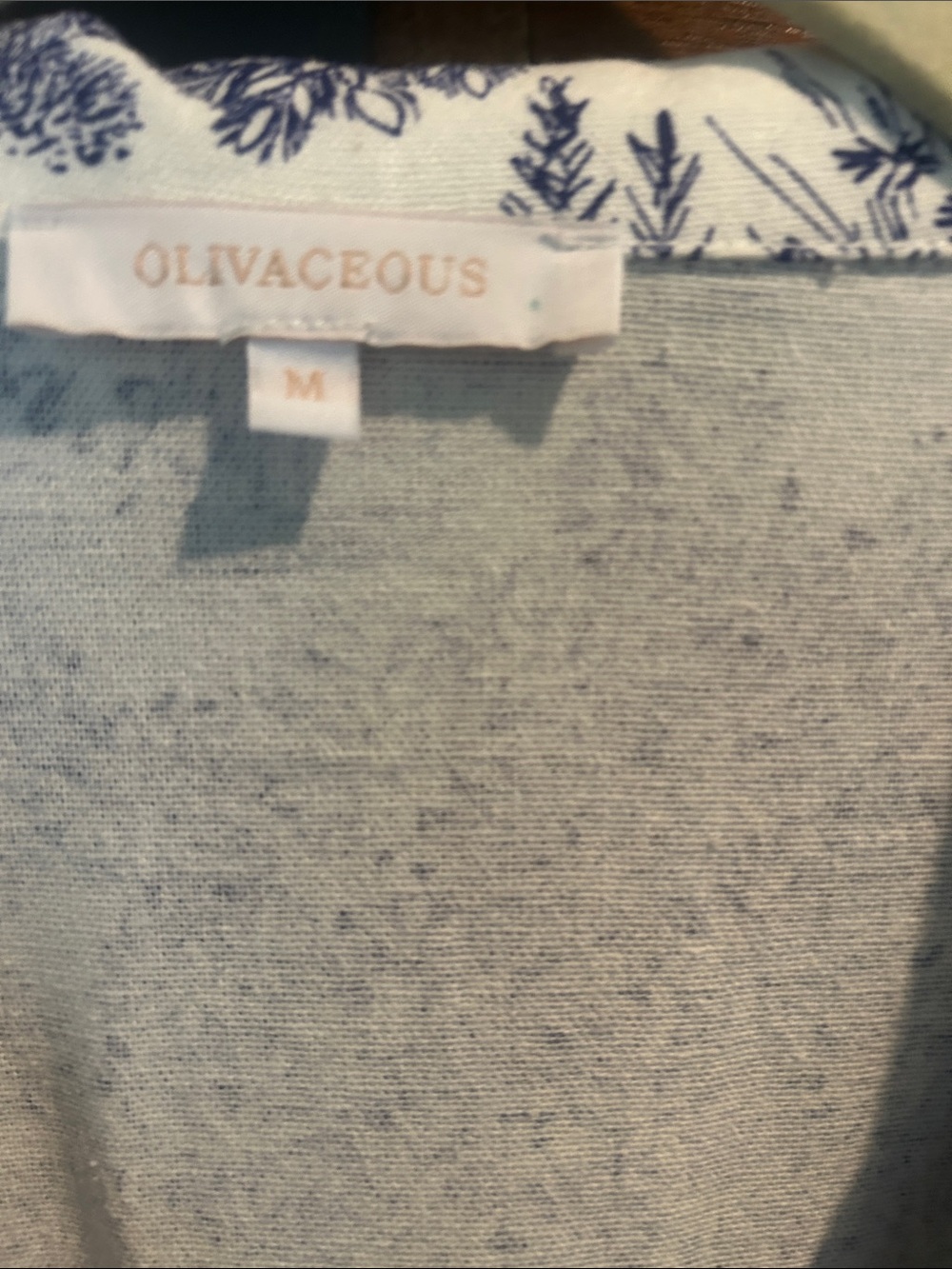 Olivaceous Blue and White Toile Dress - Picture 2 of 6